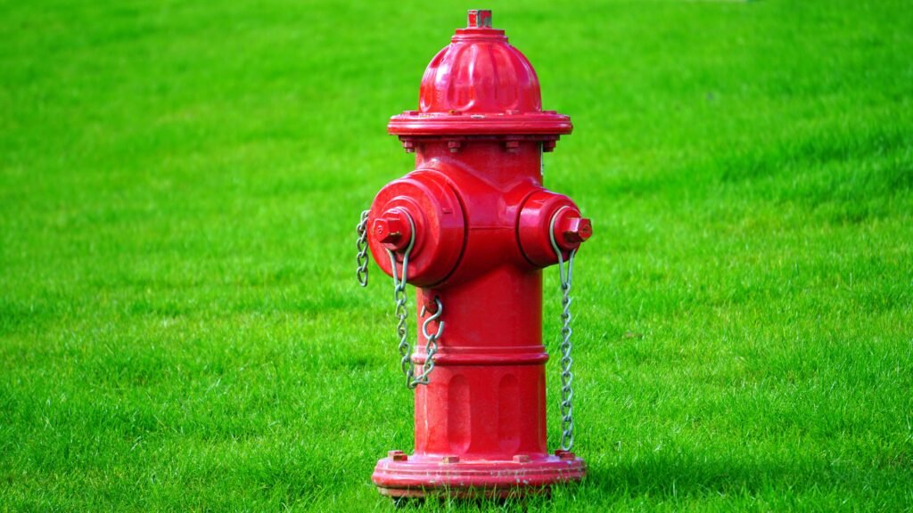 Bright red fire hydrant standing on a lush green lawn, perfect for summer scenes.
